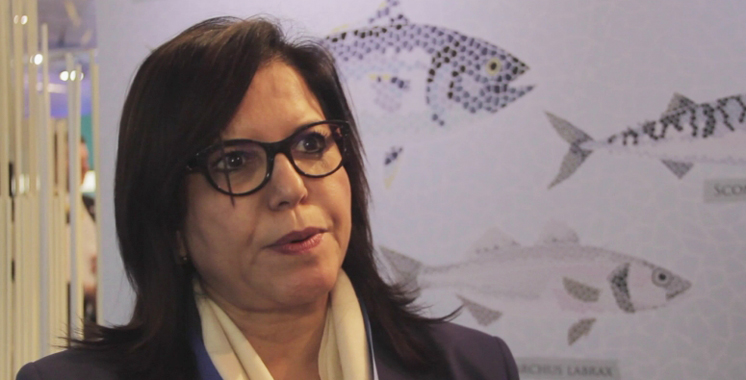 Zakia Driouich : Le secteur de la pêche maritime a atteint «le stade de la maturité»