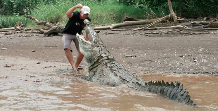 Australie: un pêcheur aurait été tué par un crocodile