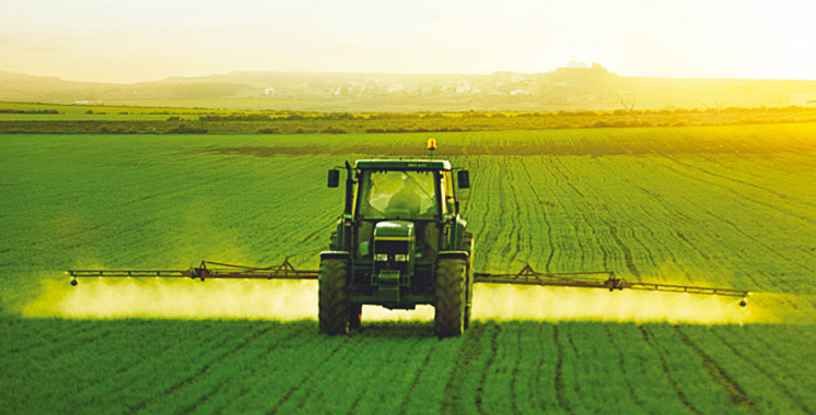 Campagne agricole : Une bonne moisson en vue