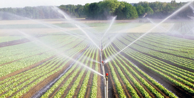 Meknès : La gestion durable des eaux d’irrigation dans le Saïs en débat