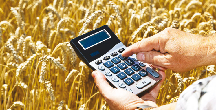 Perspectives économiques selon le HCP: La valeur ajoutée agricole croîtrait de 14,9% au 3ème trimestre
