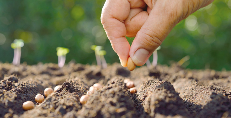 Les Domaines Agricoles créent leur propre académie