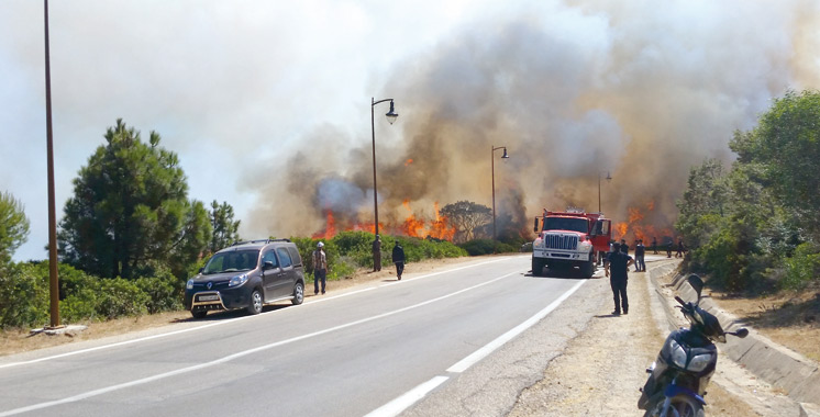 Tanger : Les incendies font rage dans la forêt de Mediouna