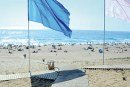 Laâyoune : Le «Pavillon bleu» hissé pour la 10e année consécutive sur la plage de Foum El Oued