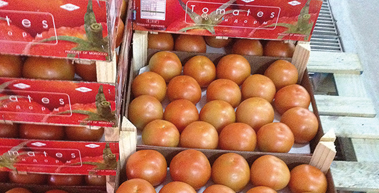 Le Maroc premier fournisseur de l’Espagne en fruits et légumes