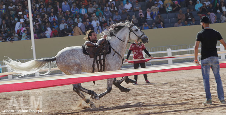Le Salon du cheval d’El Jadida de retour du 16 au 21 octobre