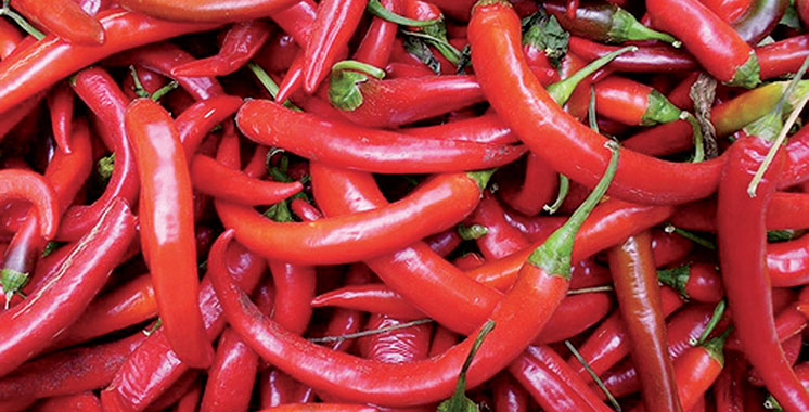 Béni Mellal-Khénifra : 28.000 tonnes de piment rouge produites en une année