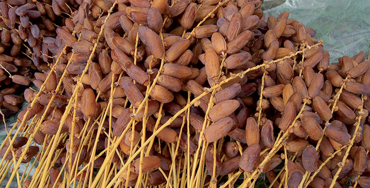Production dattière dans la région de Drâa-Tafilalet : Plus de 100.000 tonnes en 2017