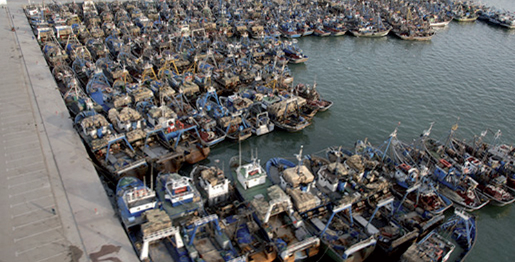 Une étude des perspectives de développement du port de Laâyoune dans le pipe