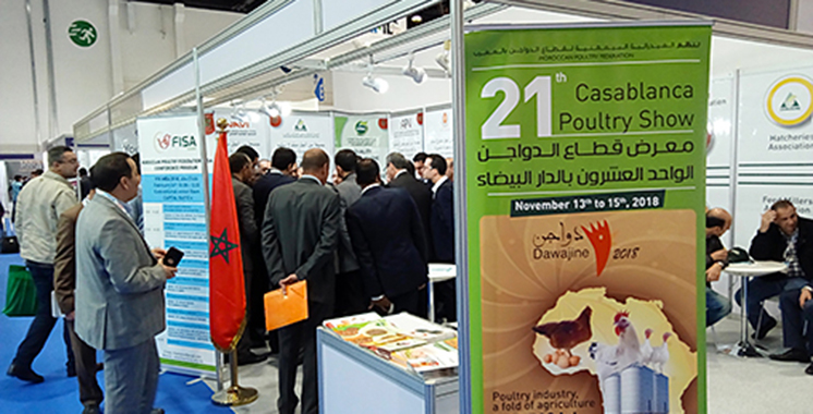 Le Maroc invité d’honneur du Salon d’Abou Dhabi d’élevage de volailles