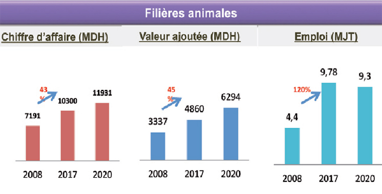 Filière animale : Un chiffre d’affaires de 10,3 milliards DH à Casablanca-Settat
