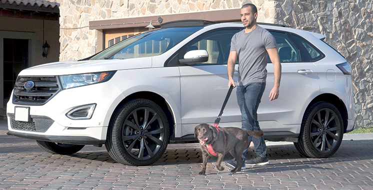 Conseils de Ford : Voyagez en toute sécurité avec votre animal de compagnie