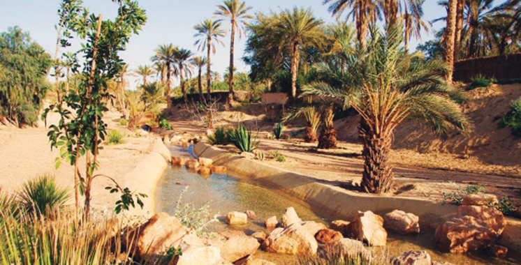 La 5è édition du Forum international des oasis et du développement local du 24 au 27 février à Zagora