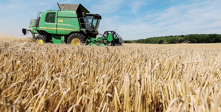 Céréales : La barre de 100 millions qx dépassée