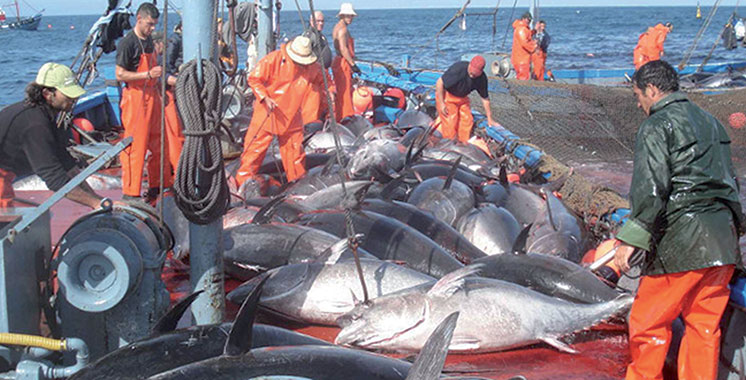 Accord de pêche : Ça sera avec le Sahara marocain !