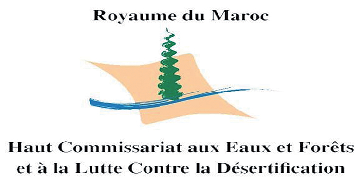 Laâyoune Sidi Mellouk : Les eaux et forêts démentent tout «crime environnemental» contre la flore