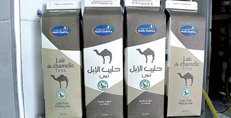 Produits du terroir de Dakhla-Oued Eddahab : Quand l’homme et la nature ne font qu’un