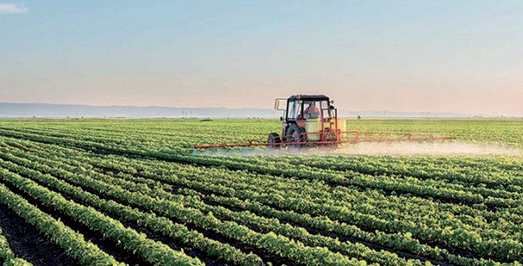 Melkisation des terres agricoles : MCA-Morocco et l’ONCA renforcent les capacités des agriculteurs