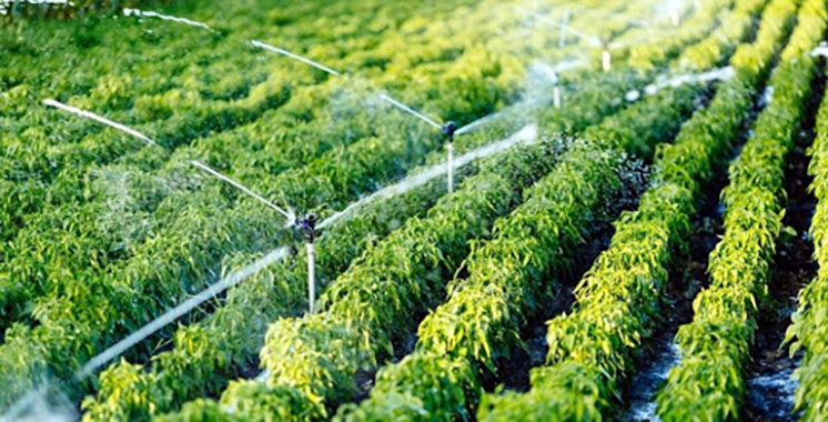 [Bild: irrigation-Agriculture.jpg?x29840]