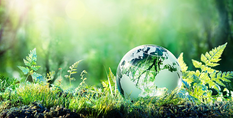 Covid-19 : Nouveau départ pour la cause environnementale