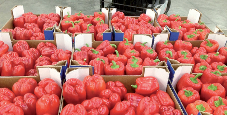 Valorisation de l’export agroalimentaire au Maroc : L’Asmex débat des perspectives