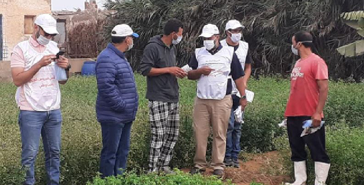 Lutte contre la Covid-19 : Les agriculteurs de Dakhla adhèrent à l’effort national