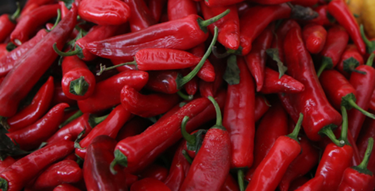 Béni Mellal-Khénifra : Piment rouge, une filière en plein essor et une valeur ajoutée importante