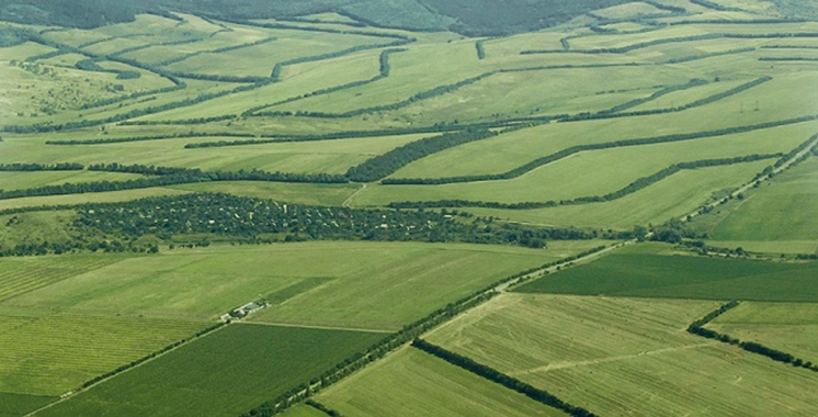 Pluviométrie, cultures, export, cheptel… : Les bonnes perspectives de la campagne agricole 2020-2021