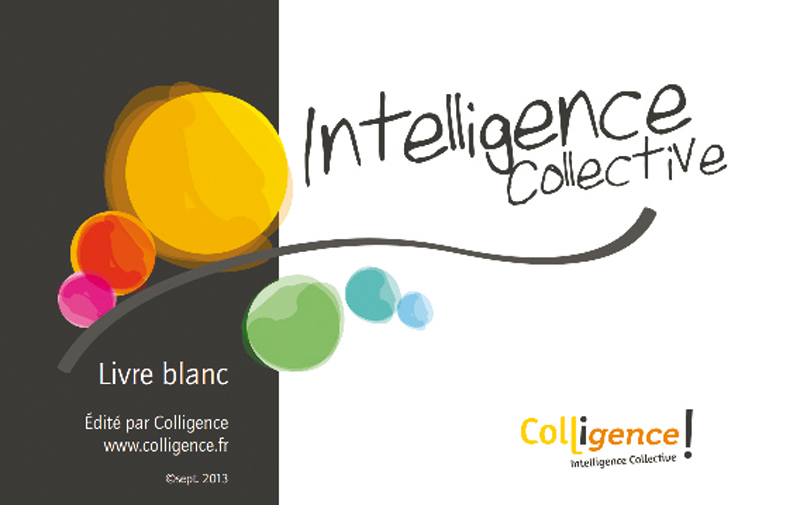 Intelligence Collective : Livre blanc- Auteurs différents