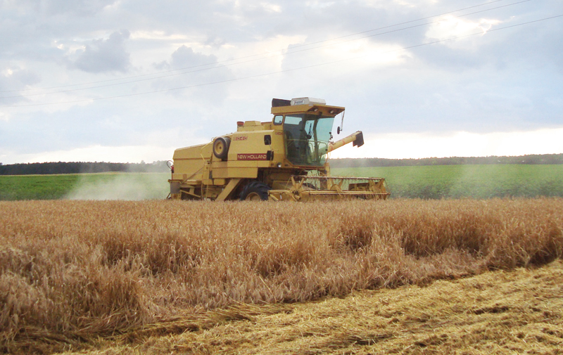 OBG : 2015,  l'année de l'agriculture