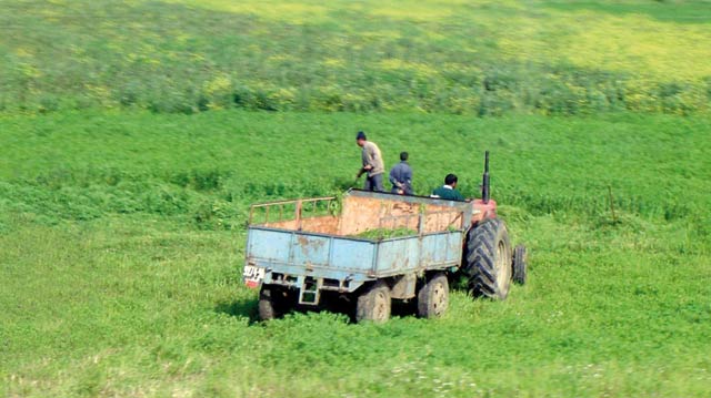 Chaouia-Ouardigha : Les potentialités agricoles de la région attirent les Américains