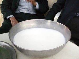 Le lait de chamelle , un don du Sahara – Aujourd'hui le Maroc