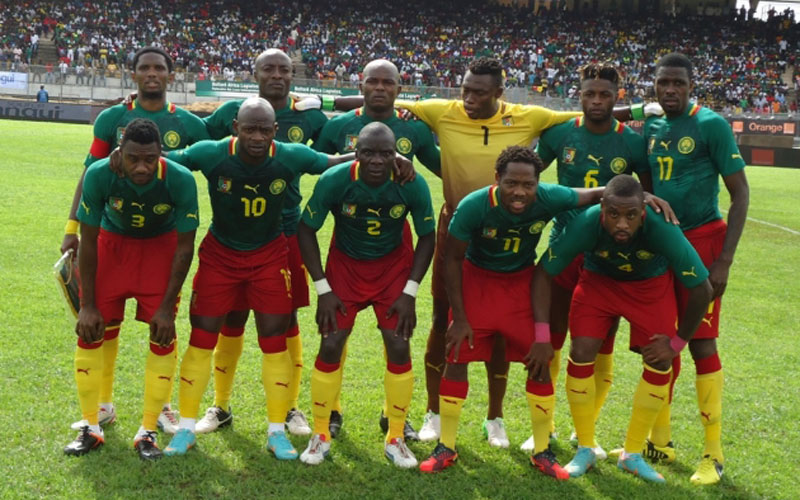 Coupe du monde 2014 : Equipe du Cameroun
