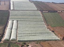 Maroc-UE : le volet agricole en question
