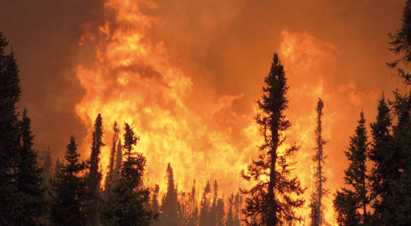 Chtouka Aït Baha: Plus de 4,5 MDH contre les incendies de forêts