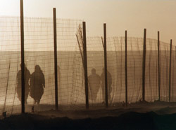 Tindouf : La tension revient dans les camps