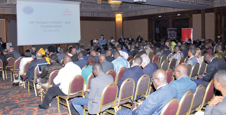Congrès des voyagistes africains: Addou invite les opérateurs à plus  de mobilisation