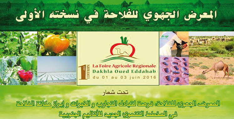 La première édition se déroulera du 1er au 3 juin: Dakhla se dote d’une foire régionale agricole