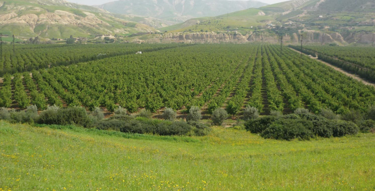 Gestion durable des terres: Coup d’envoi d’un projet multinational à Agadir