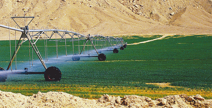 Province d’Errachidia : L’AFD finance un projet d’irrigation à hauteur de 20 millions d’euros