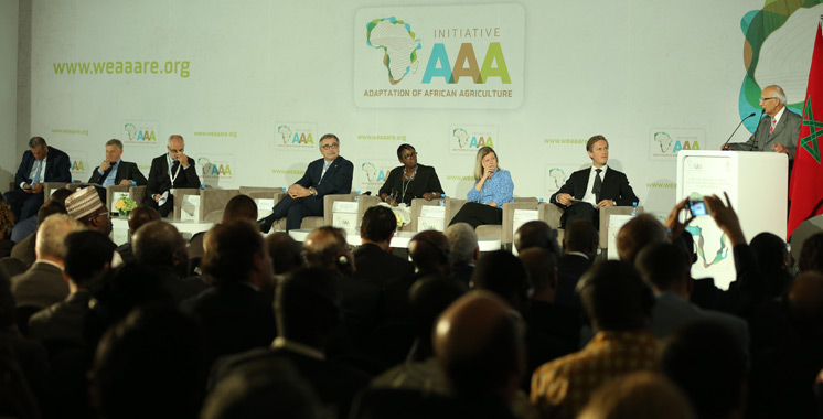 Initiative en faveur de l’adaptation de l’agriculture Africaine-AAA