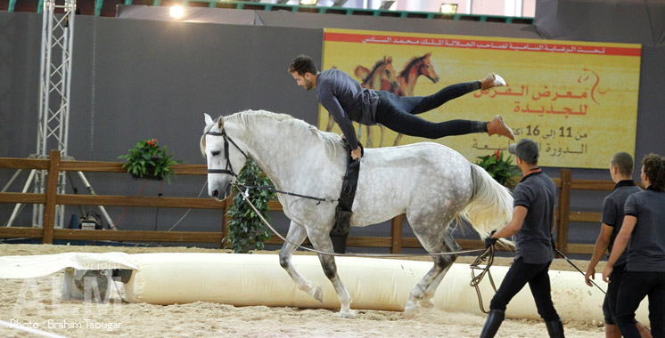 Salon du cheval d'El Jadida : La SOREC valorise les activités équestres