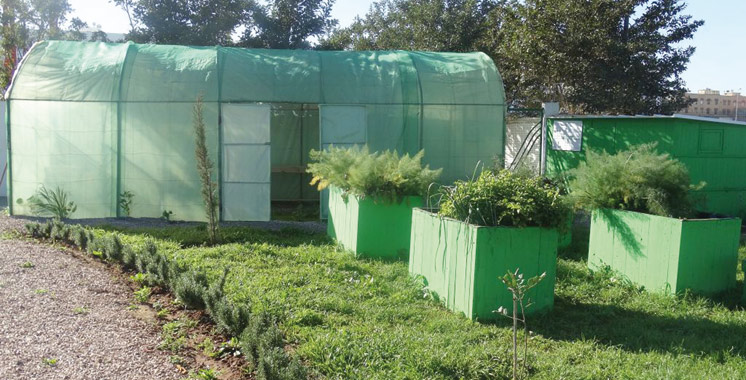 Lydec inaugure un espace  expérimental d’agriculture  urbaine à la STEP de Médiouna