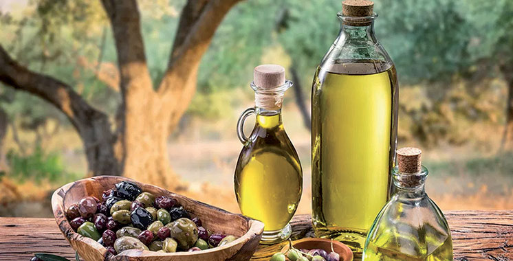 business plan huile d'olive maroc