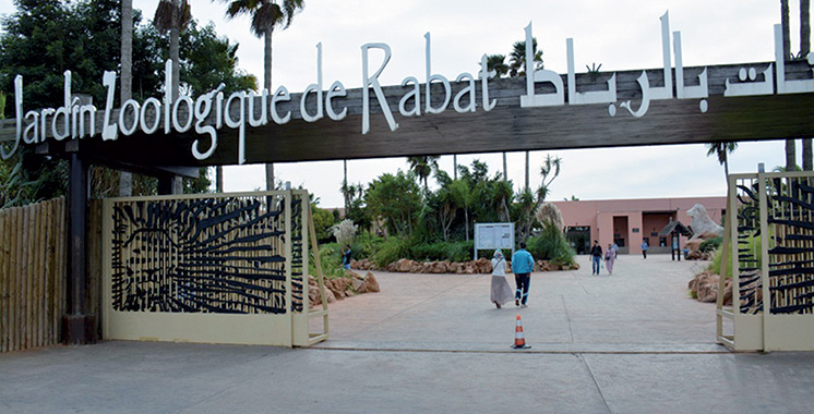 Ouverture prochaine du vivarium du Jardin zoologique de Rabat
