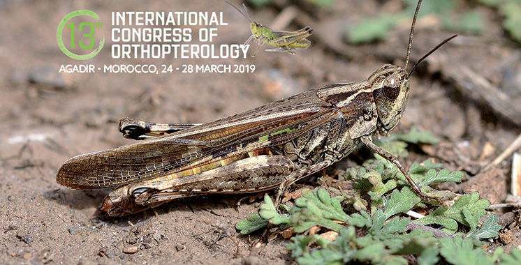 Le Congrès international sur les orthoptères pour la première fois en Afrique
