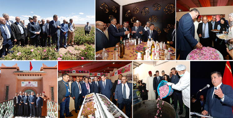 Le festival est à sa 57ème édition : Kalâat M’Gouna célèbre de nouveau la rose