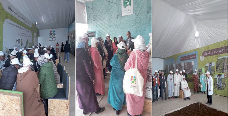 4ème étape du dispositif itinérant «Al Moutmir» dédiée à l’olivier : OCP accompagne les petits exploitants de Khénifra