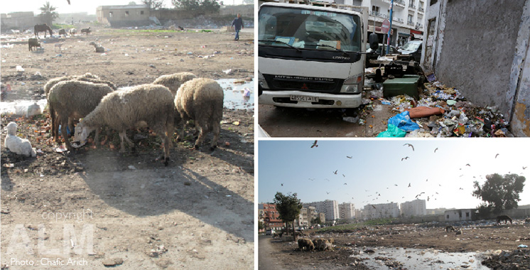 Gestion des déchets à Casablanca pendant le Ramadan : Les responsables manquent à l’appel