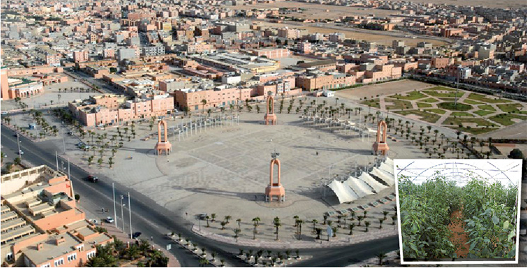 Organisé par la Fondation Phosboucraâ et ses partenaires : Laâyoune abrite le premier Forum international sur l’agriculture biosaline